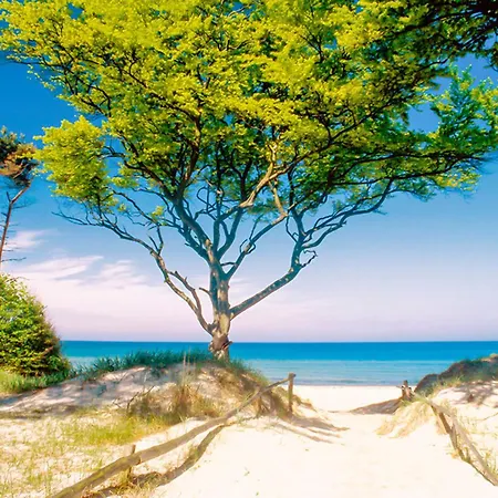 Windjammer 1, Whg 5 Lejlighed *